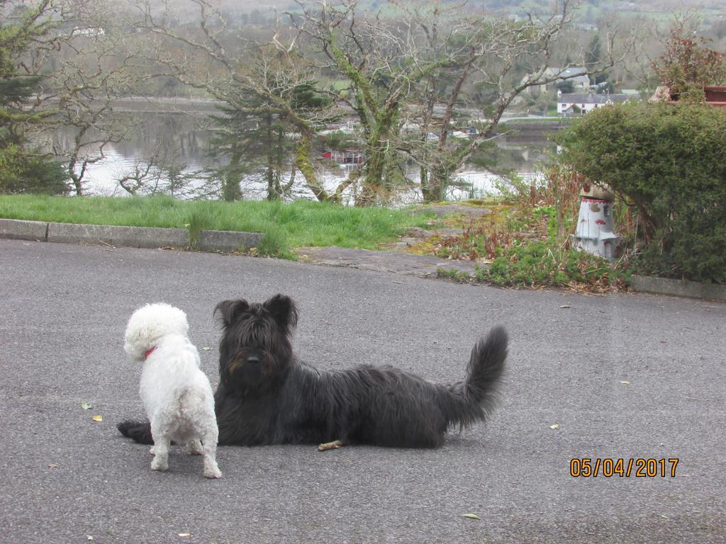 Watersedge Seaviews Hotel Kenmare Exterior foto